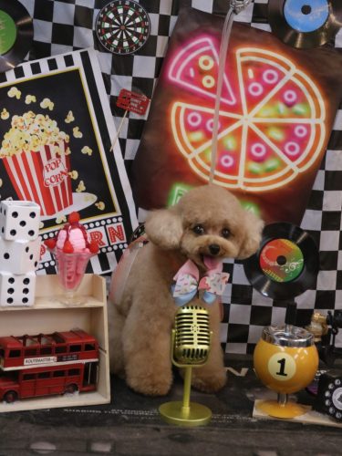 20260410ラブちゃん