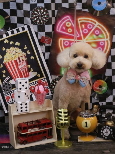 20260410モコくん