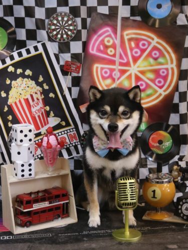 20260410ふうくん