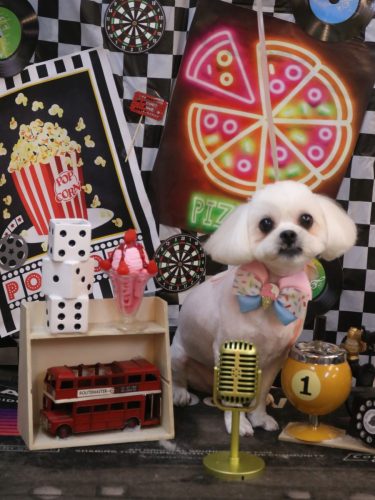 20260410とろろちゃん