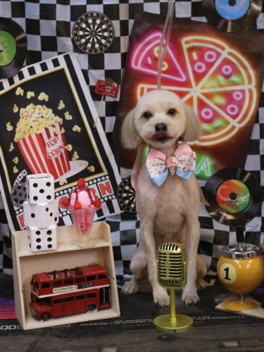 20260410ぽてとちゃん