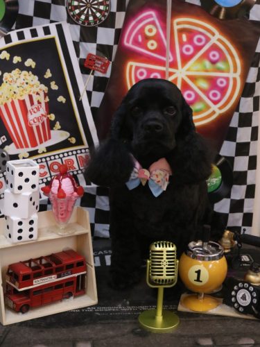 20260410そらくん