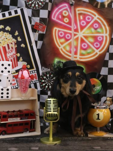 20260410はなちゃん