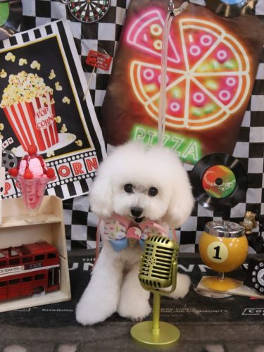 20260410チュッチュくん