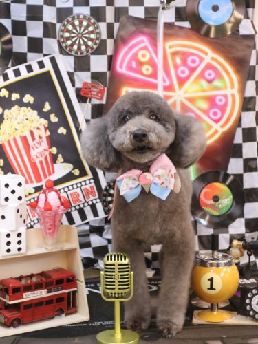 20260411ムギくん