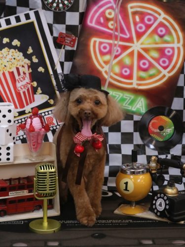 20260411このはちゃん