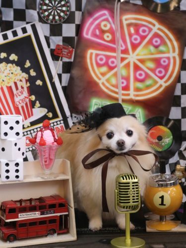 20260411小豆くん