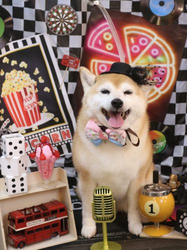 20260411初ちゃん