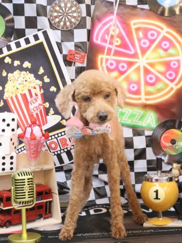 20260411レオくん