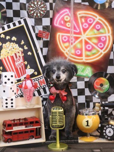 20260411ヒナちゃん