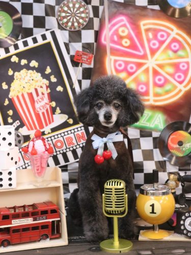 20260411ラムくん