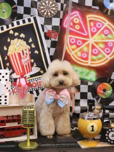 20260411サラちゃん