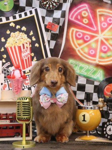 20260412モカくん