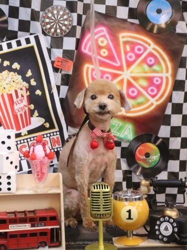 20260412そらちゃん