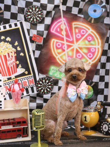 20260412モカちゃん