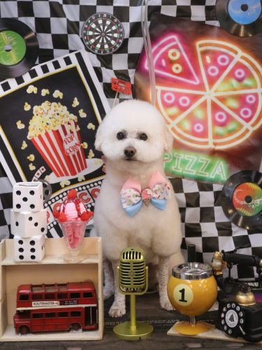 20260412MAPLEちゃん