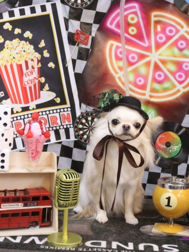 20260412リリィちゃん