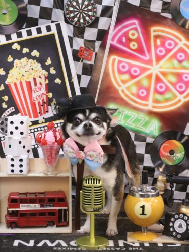 20260412チー太くん