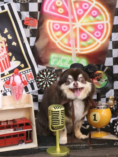 20260412ラブちゃん