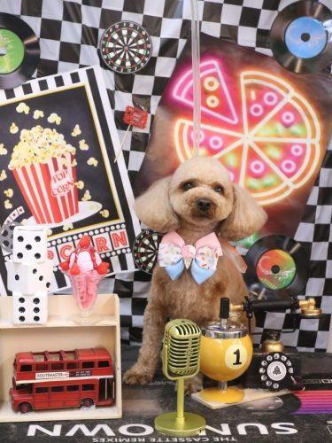 20260412シェリーくん