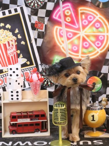 20260412メイちゃん