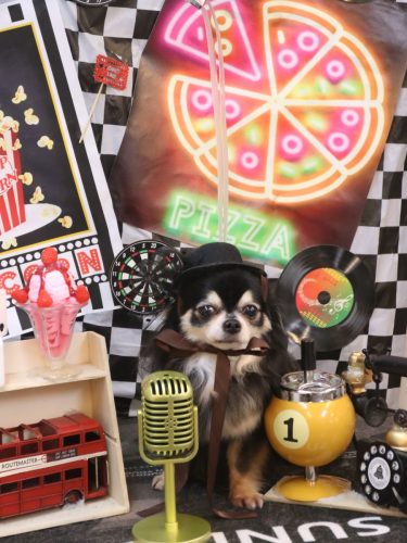 20260412アリューくん