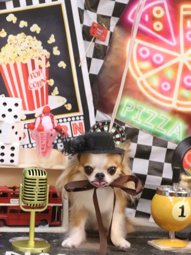 20260412プリュ―くん