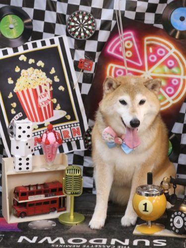 20260412こはるちゃん