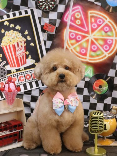 20260412かんたくん