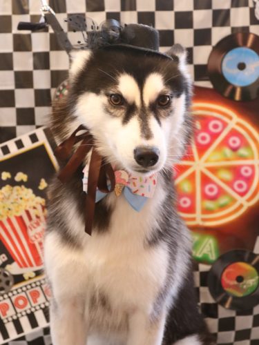 20260414アヴニールちゃん