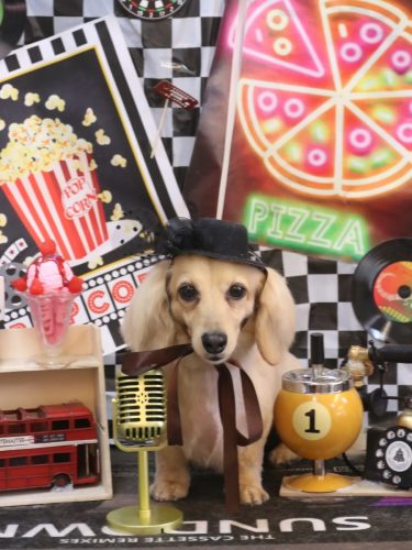 20260414こはるちゃん