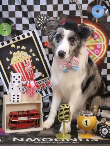 20260414アイスちゃん