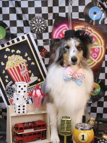 20260414ミルキーちゃん