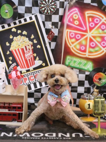 20260414クッキーくん