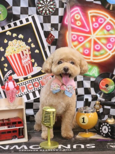 20260414ぽっきーくん