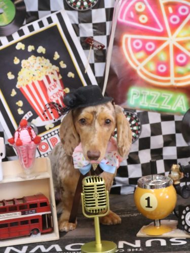 20260414栞ちゃん