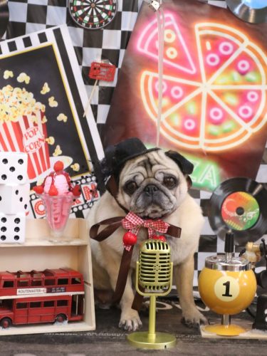 20260414くりこちゃん