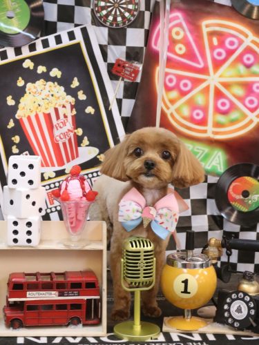 20260415海瑠ちゃん