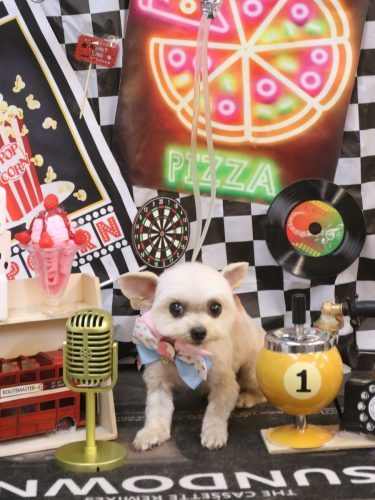 20260415じゅのんくん