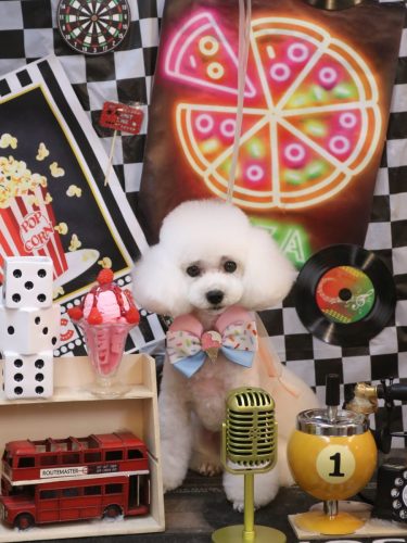 20260415ゆわちゃん