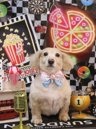 20260415テヤンくん