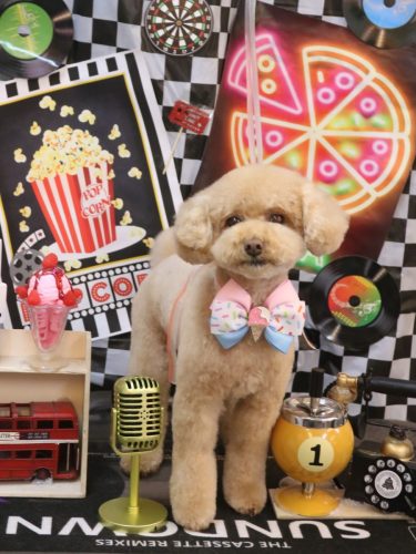 20260415めるちゃん