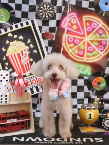 20260415ロンくん