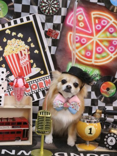 20260415りるちゃん