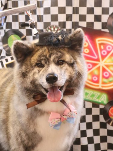 20260415むぎくん