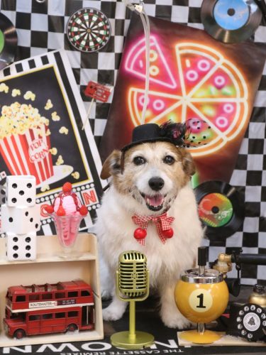 20260415こはるちゃん