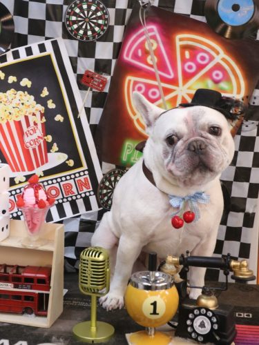 20260415ブーくん