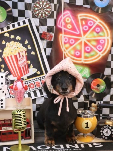 20260415ハルちゃん