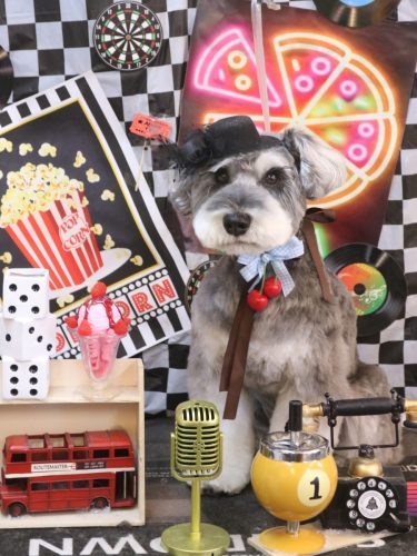 20260416ビッケくん