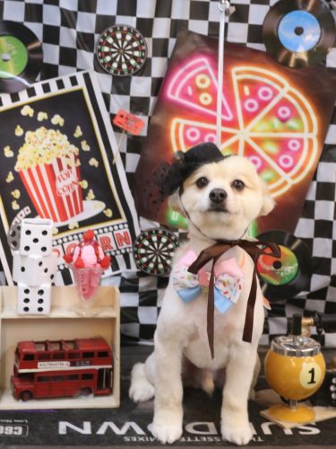 20260416ぽんずくん